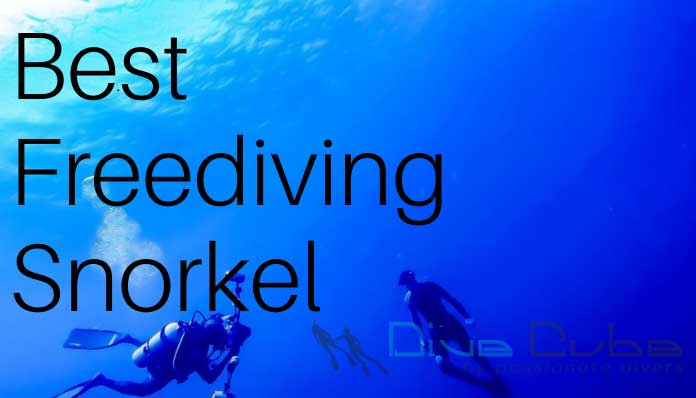 Best Freediving Snorkel
